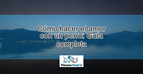 me follo al perro|Cómo hacer el amor con un perro: Guía completa.